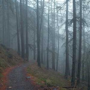 Boat Wave Call Smartwatch