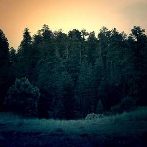 Fabindia Kalamkari Kurti