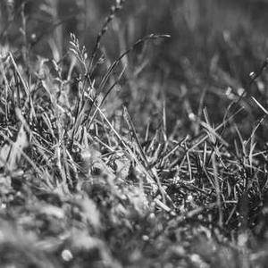 Hawkins Cooker Spare Parts