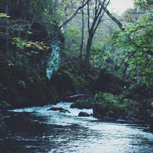 Himalaya Baby Hair Oil