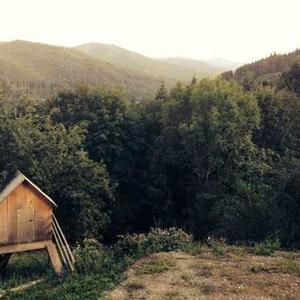 Himalaya Baby Lotion