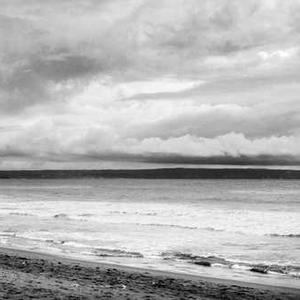 Himalaya Moisturizing Lotion