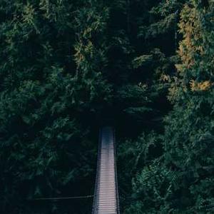 Himalaya Purifying Neem Soap